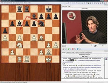 Load image into Gallery viewer, Powerplay 12 - The hedgehog - King