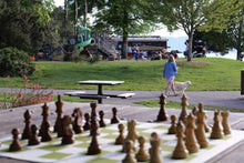 Load image into Gallery viewer, Timeless Flex Chess Set