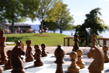 Load image into Gallery viewer, Timeless Flex Chess Set
